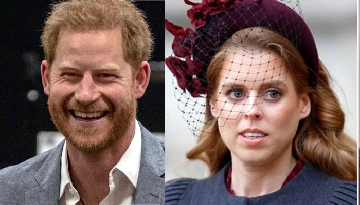 Princess Beatrice gives huge favour to Prince Harry during surprise visit