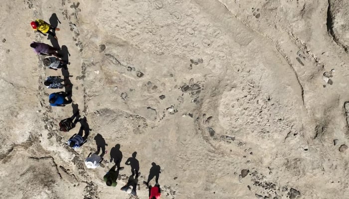 1.5-million-old fossil footprints show two ancient human species coexisted